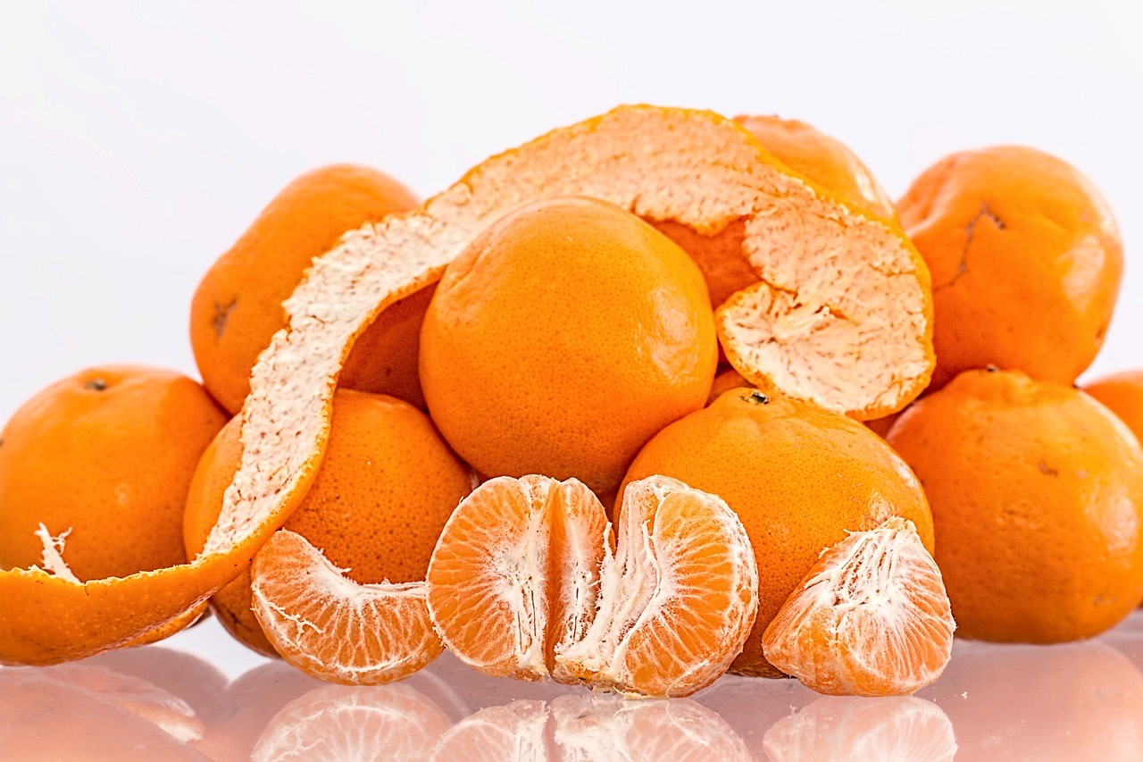 Silverhill Satsuma - Free Shipping Included