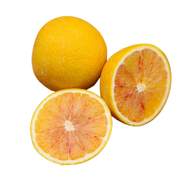 Budd Blood Orange - Free Shipping Included