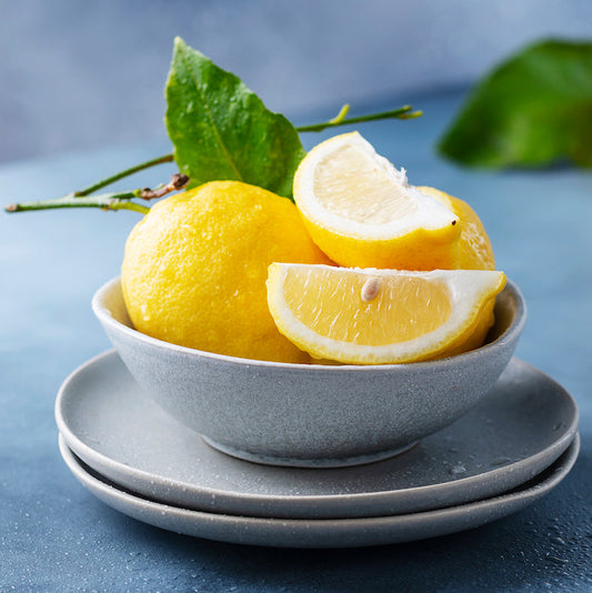 Meyer Lemon - Bush/Rooted Cutting - Free Shipping Included