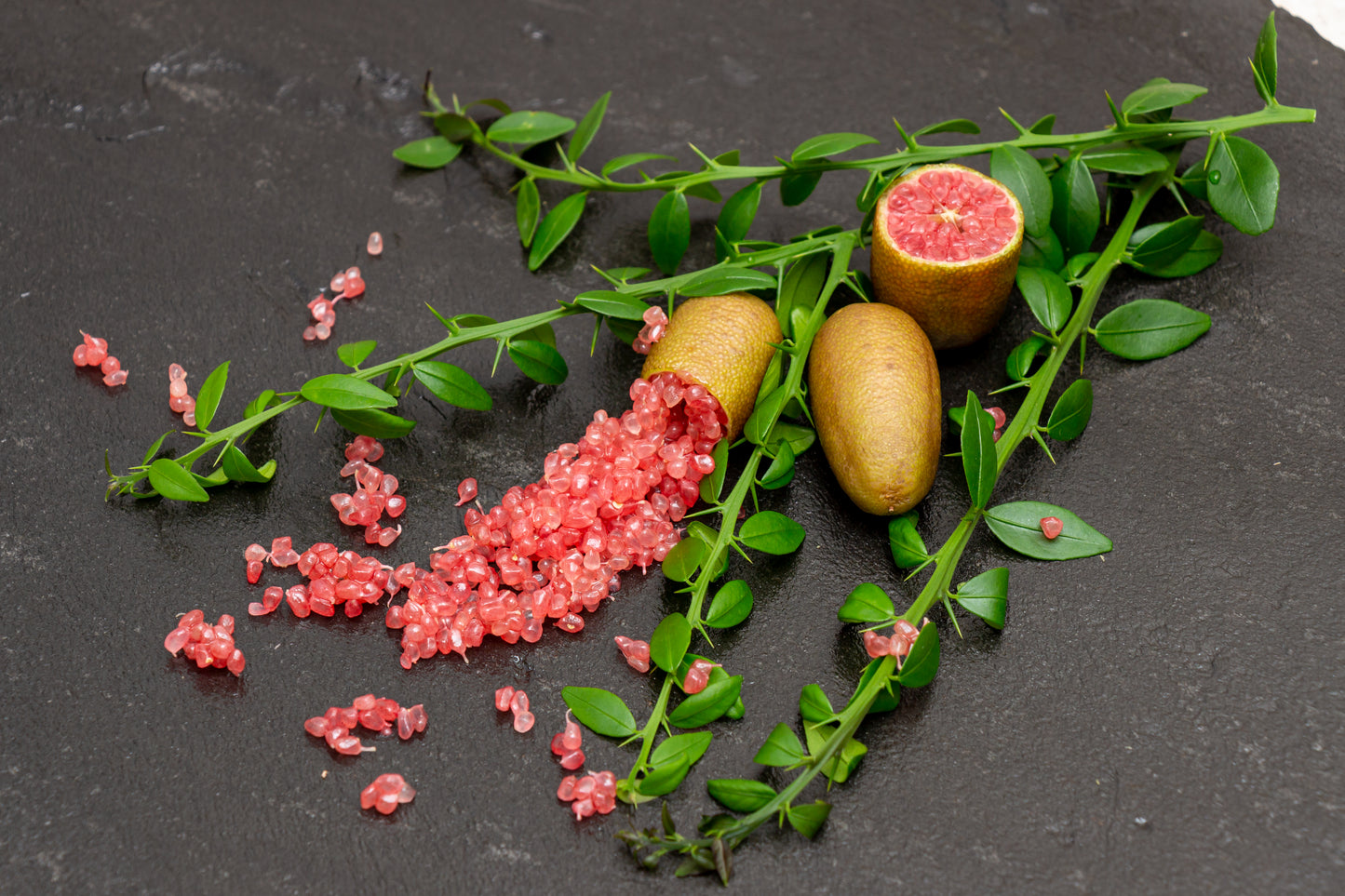 Faustrimedin - Free Shipping Included