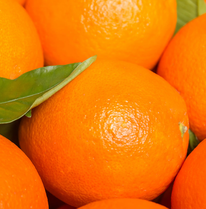 Valencia Orange