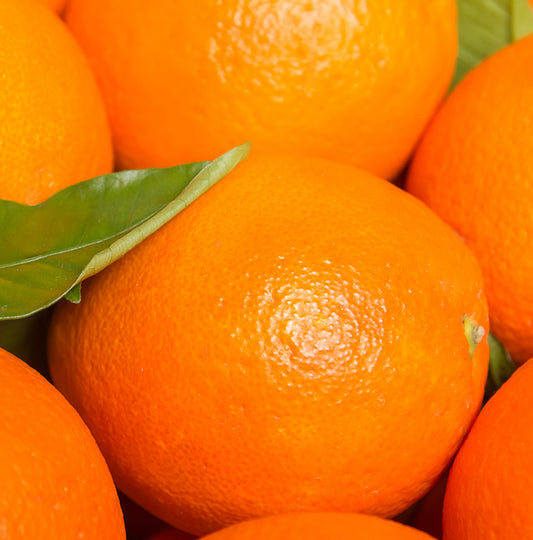 Valencia Orange - Free Shipping Included