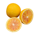 Budd Blood Orange - Free Shipping Included