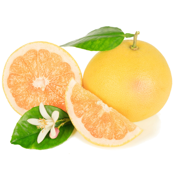 Duncan Grapefruit - Free Shipping Included