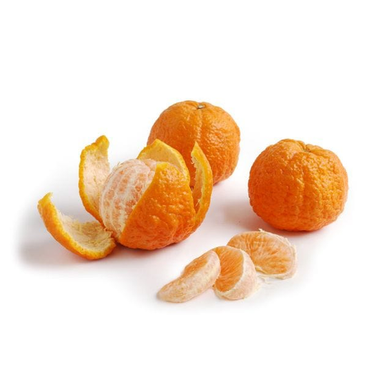 Gold Nugget Mandarin - Free Shipping Included
