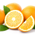 Hamlin Orange - Free Shipping Included