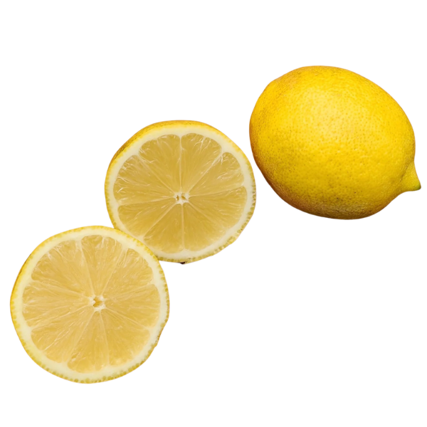Harvey Lemon Tree - Free Shipping Included