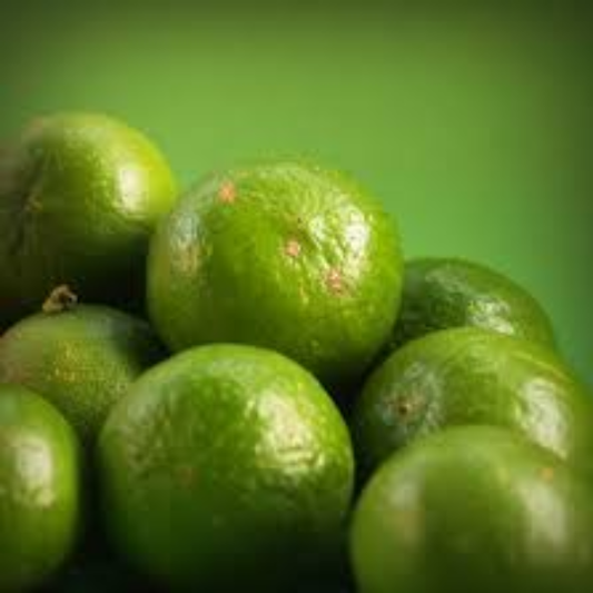 Key Lime (thornless) - Free Shipping Included