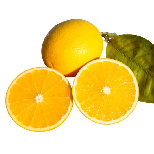 Tarocco Blood Orange - Free Shipping Included