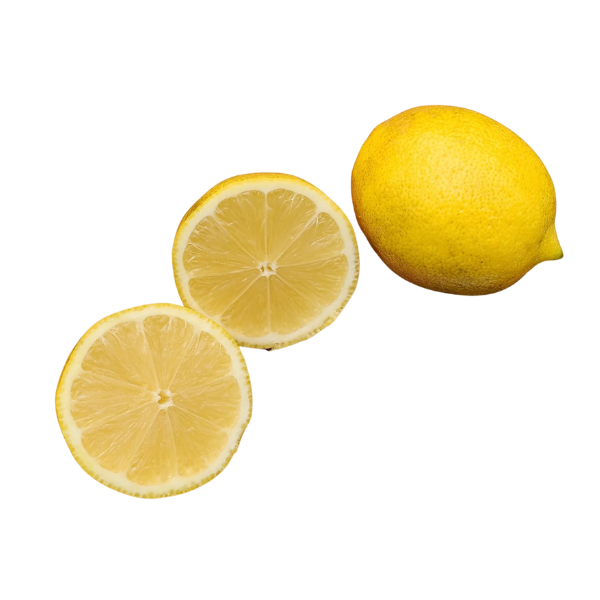 Harvey Lemon Tree - Free Shipping Included