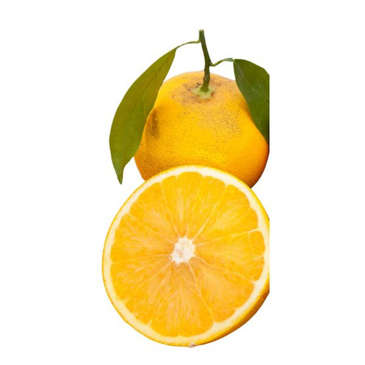 Marrs Sweet Orange - Free Shipping Included