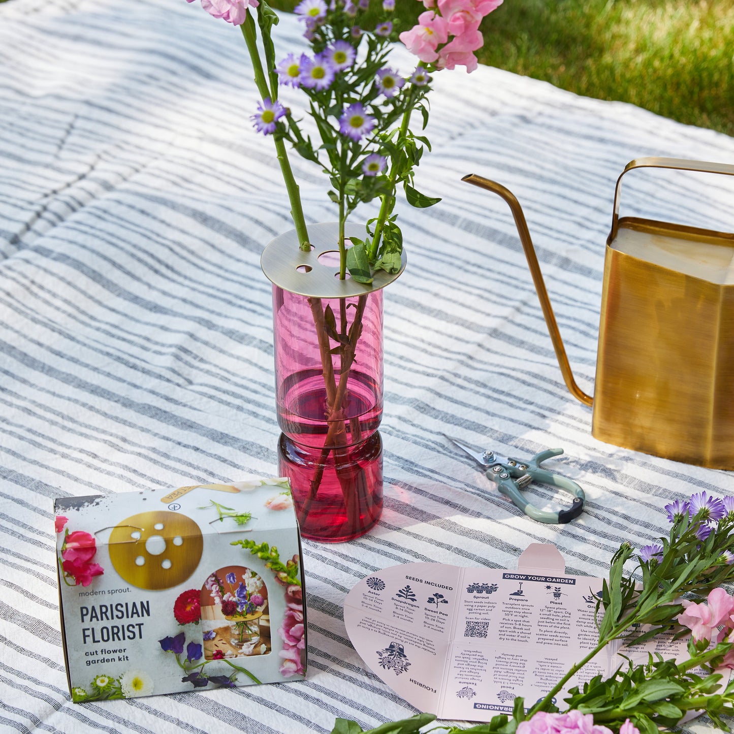 Seed Collection + Accessories