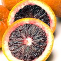 Moro Blood Orange - Free Shipping Included