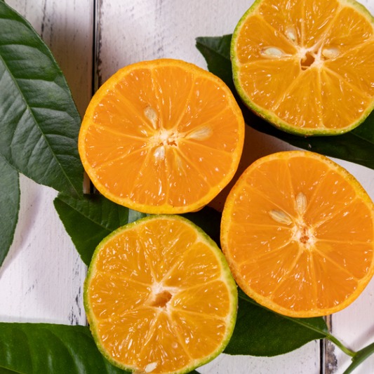 Rangpur Lime - Free Shipping Included
