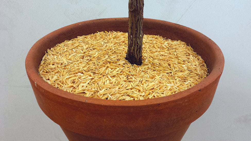 ORGANIC MECHANICS® Pure Rice Hulls COLLECTIVE