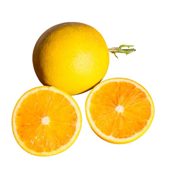 Sanguinelli Blood Orange - Free Shipping Included