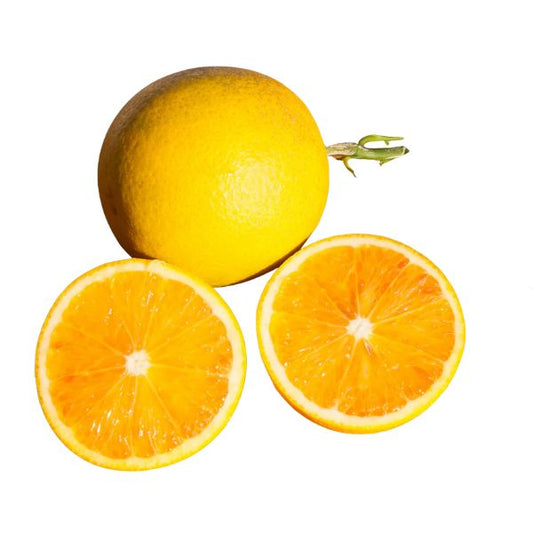 Sanguinelli Blood Orange - Free Shipping Included