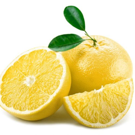 White Marsh Grapefruit - Free Shipping Included