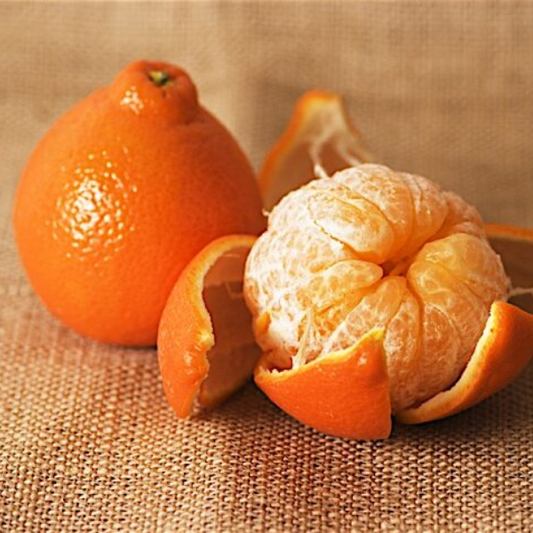 Xie Shan Satsuma - Free Shipping Included