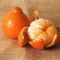 Xie Shan Satsuma - Free Shipping Included