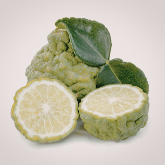 Yuzu - Free Shipping Included