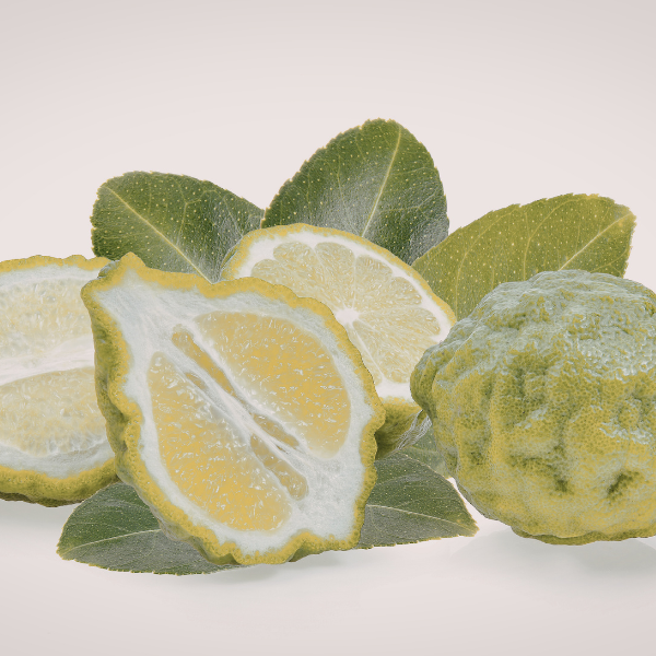 Yuzu - Free Shipping Included