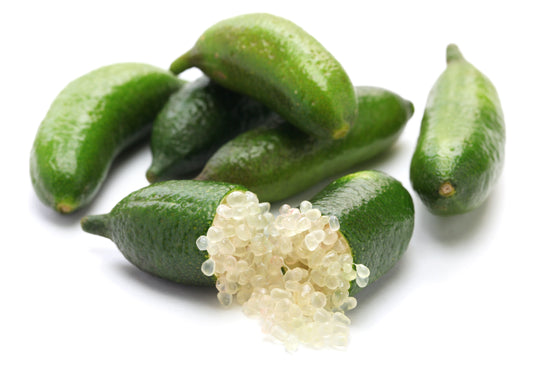Finger Lime Giant - Free Shipping Included