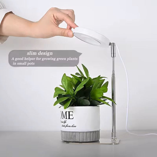 Circular Grow Light