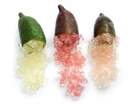 Australian Red Pulp Finger Lime - Free Shipping Included