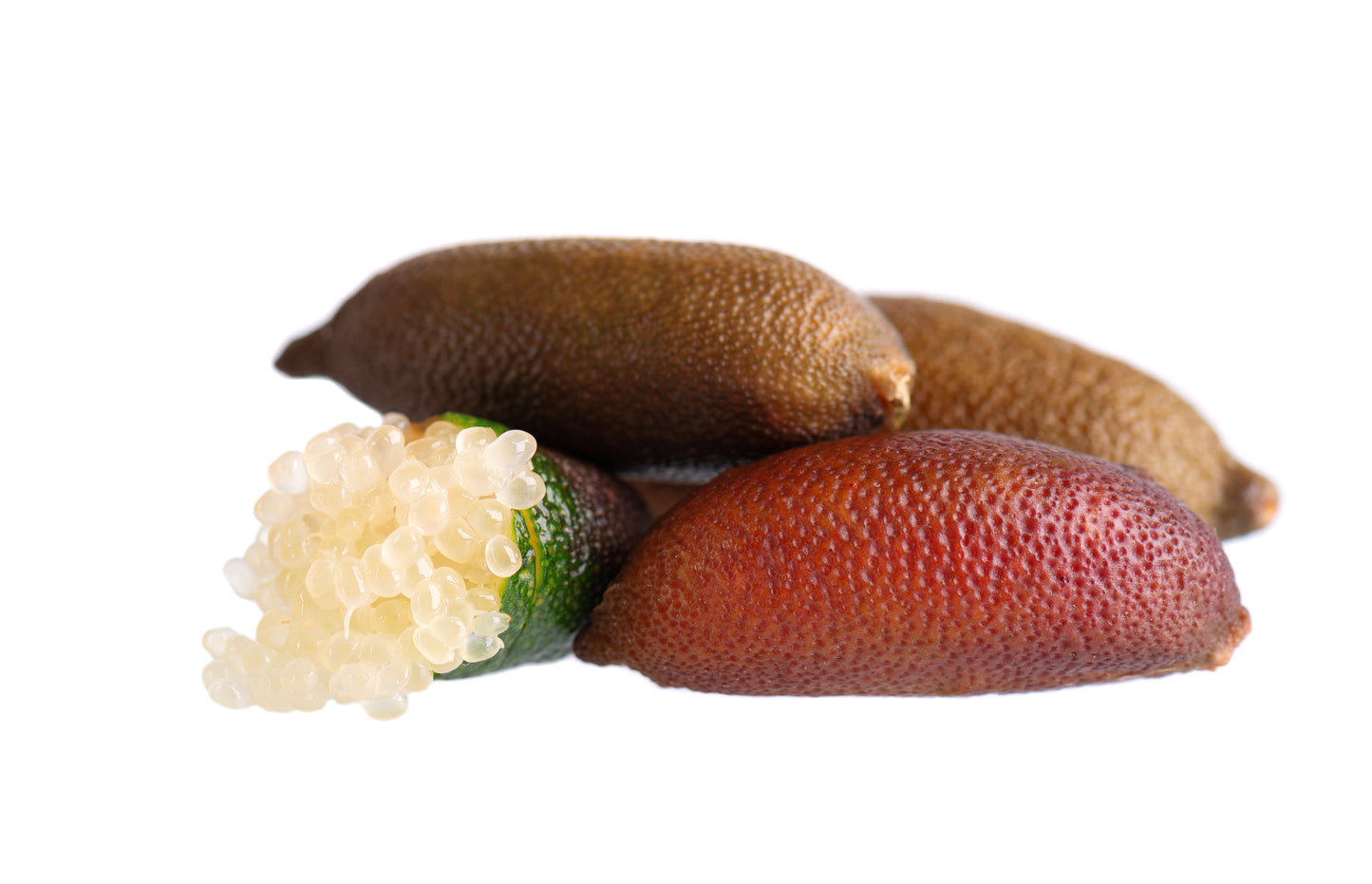 Australian Red Pulp Finger Lime - Free Shipping Included